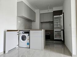 The Florence Residences (D19), Apartment #455571021